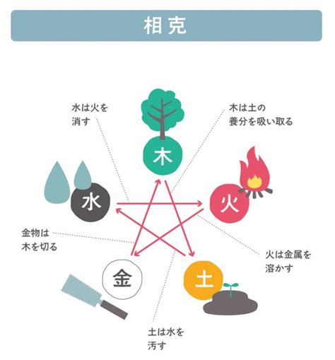 木剋土 意味|相剋(そうこく)とは？ 意味や使い方